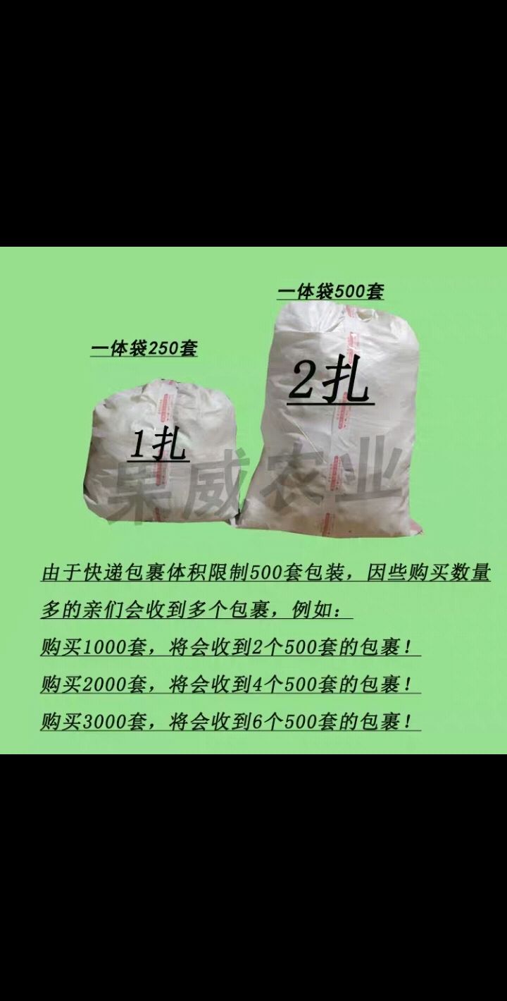 種植套袋  水果袋套果樹防蟲防鳥保護(hù)網(wǎng)一體芭樂番石榴套袋專用