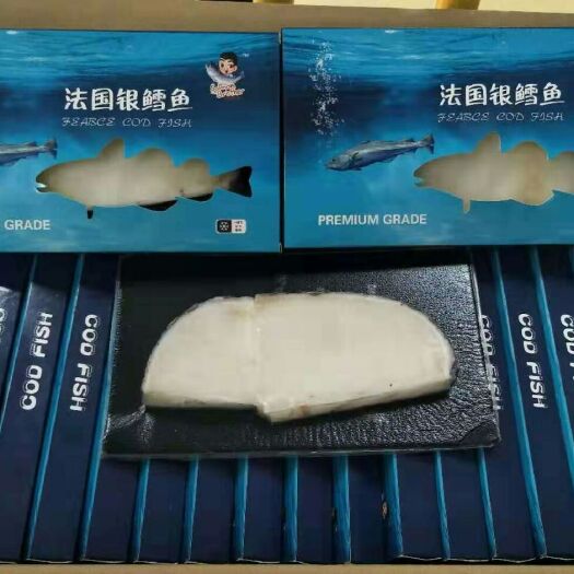 济南冷冻鳕鱼片 银鳕鱼