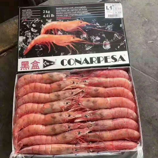 济南 阿根廷红虾