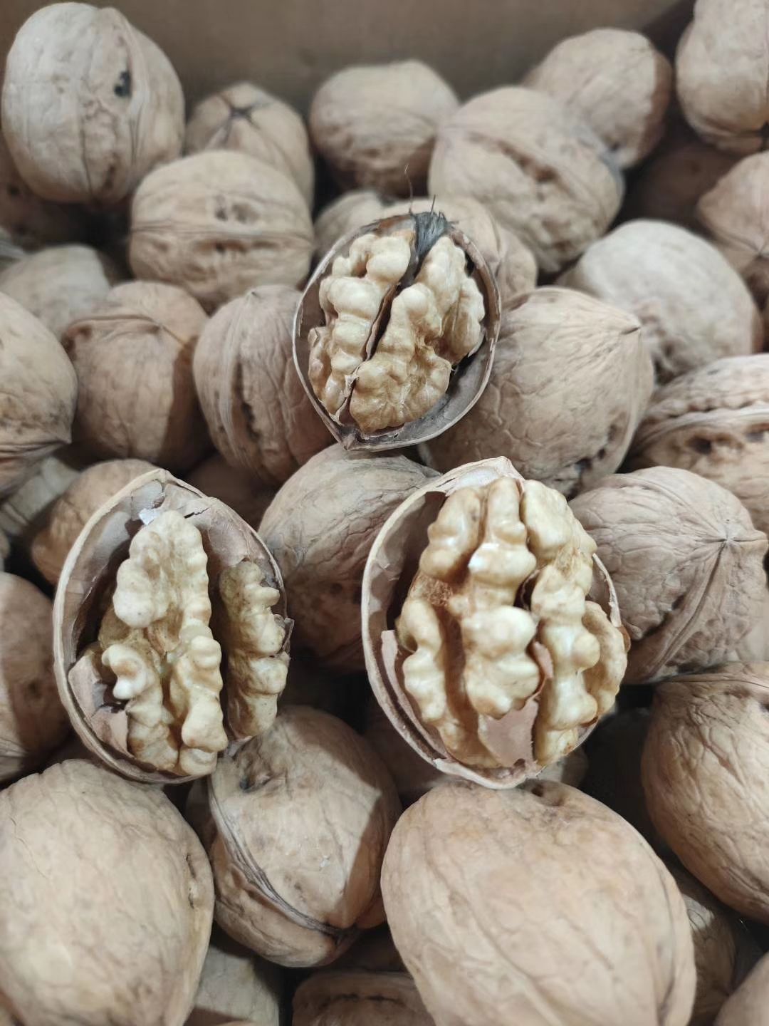 农产品批发供应商黄梁 - 惠农网电脑版