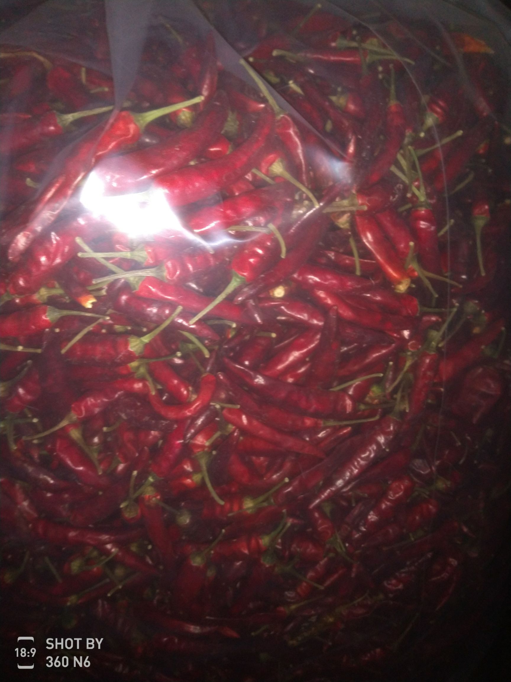  贵州兴仁干辣椒