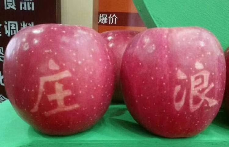庄浪苹果 庄浪果果