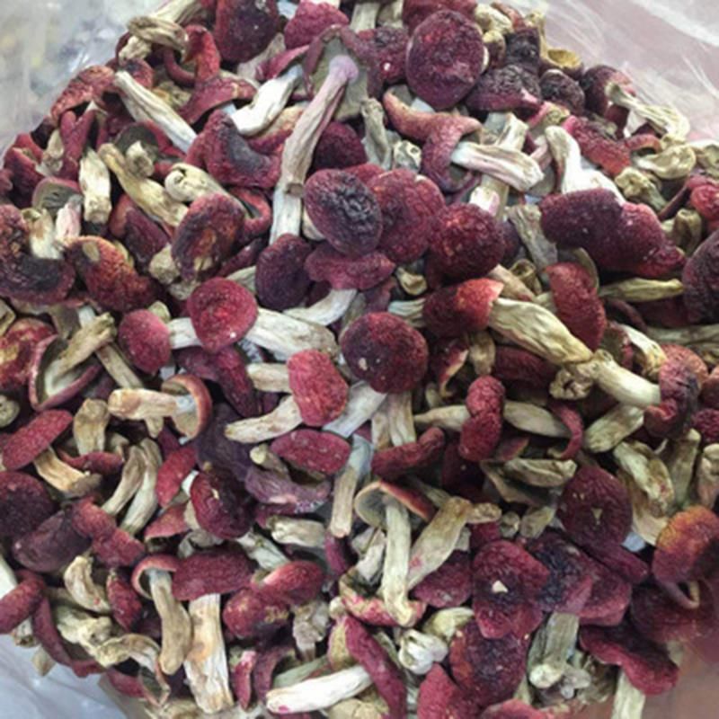 包郵 福建農(nóng)產(chǎn)品特產(chǎn)紅菇干貨500克批發(fā) 食用菌廠家直供