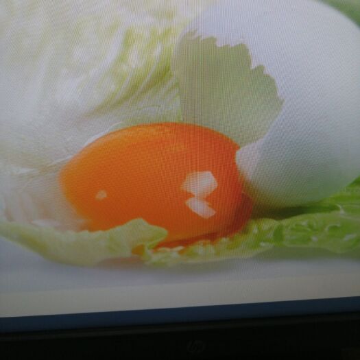天柱县土鸡蛋 食用 散装