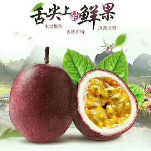 寻乌县 百香果 紫红色百香果