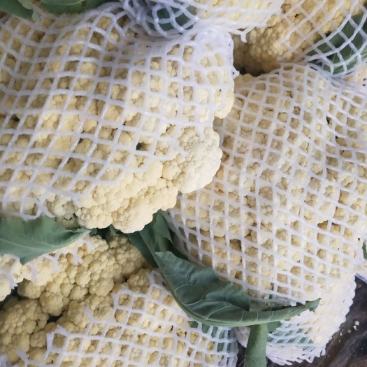 聊城白花菜花 有机散花大量供应各大场。南方市场，东北市坷