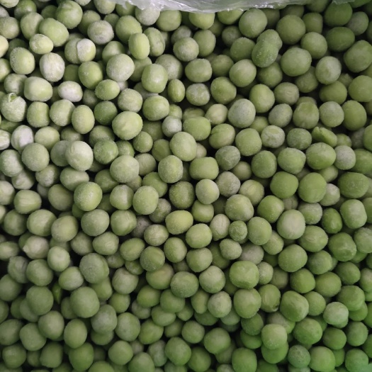夏邑县冻毛豆  甜青豆鲜豆速冻青豆豌豆仁20斤