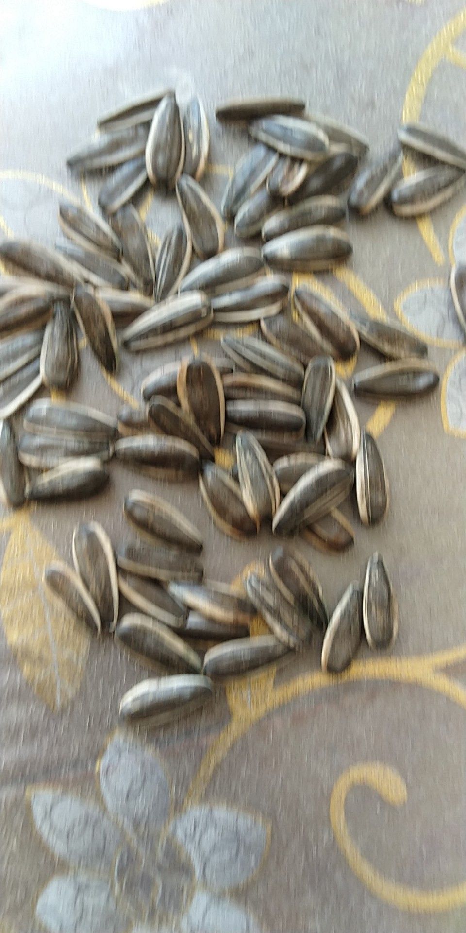 葵瓜子  精品361