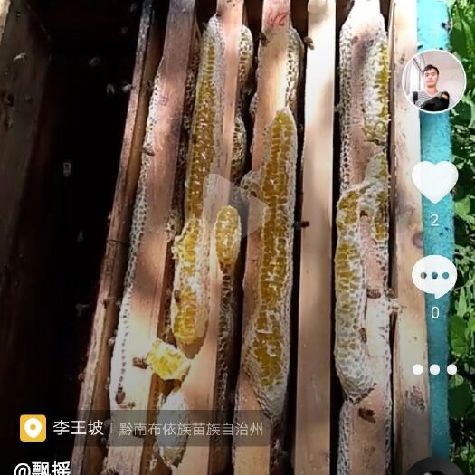 都匀市 贵州都匀深山纯五倍花蜂蜜假一赔十