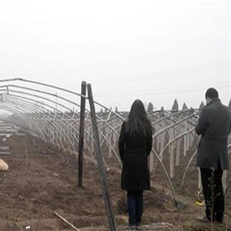  大棚钢管，大棚骨架，锌层厚的钢架大棚