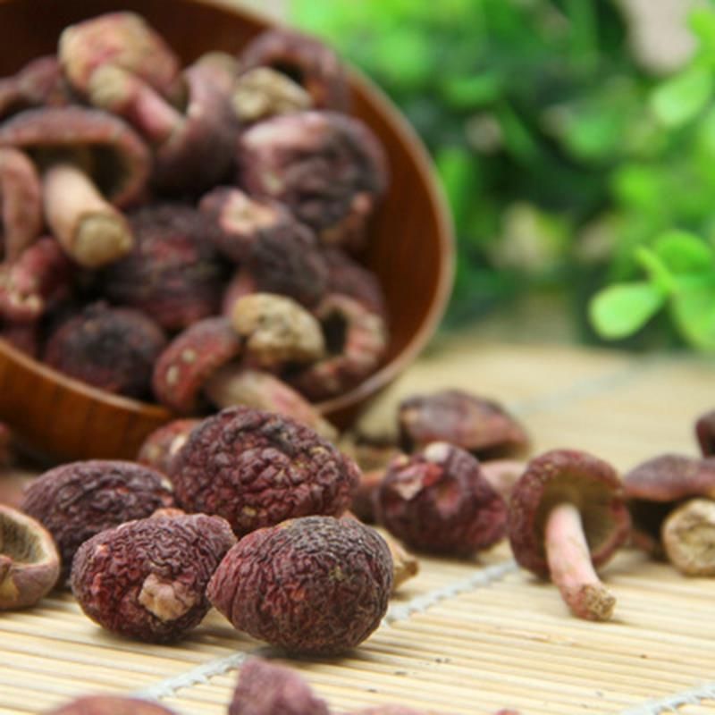 包郵 福建農(nóng)產(chǎn)品特產(chǎn)紅菇干貨500克批發(fā) 食用菌廠家直供