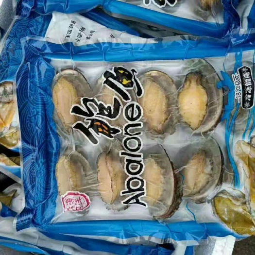 鲍鱼