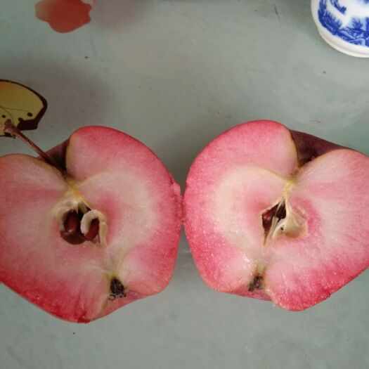 昌乐县 摘苹果✌️