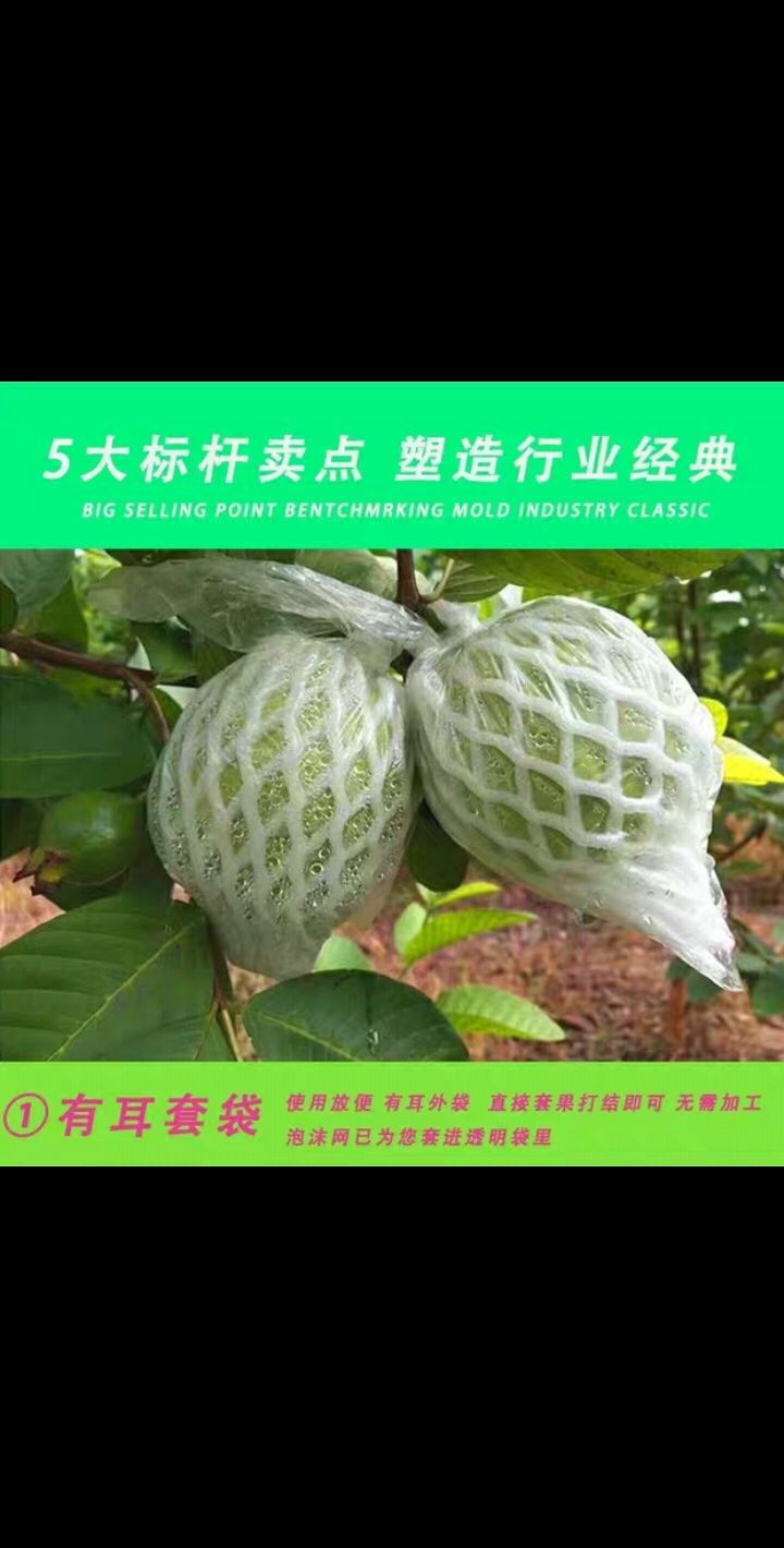 種植套袋  水果袋套果樹防蟲防鳥保護(hù)網(wǎng)一體芭樂番石榴套袋專用