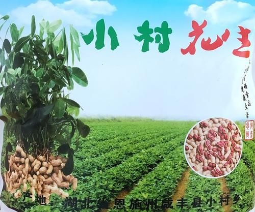 咸丰县小村红衣米花生