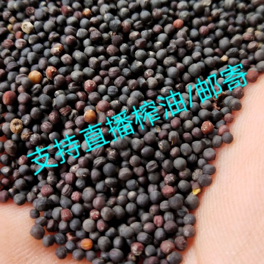 洋县油菜籽  有机菜籽(支持直播榨油，发快递)