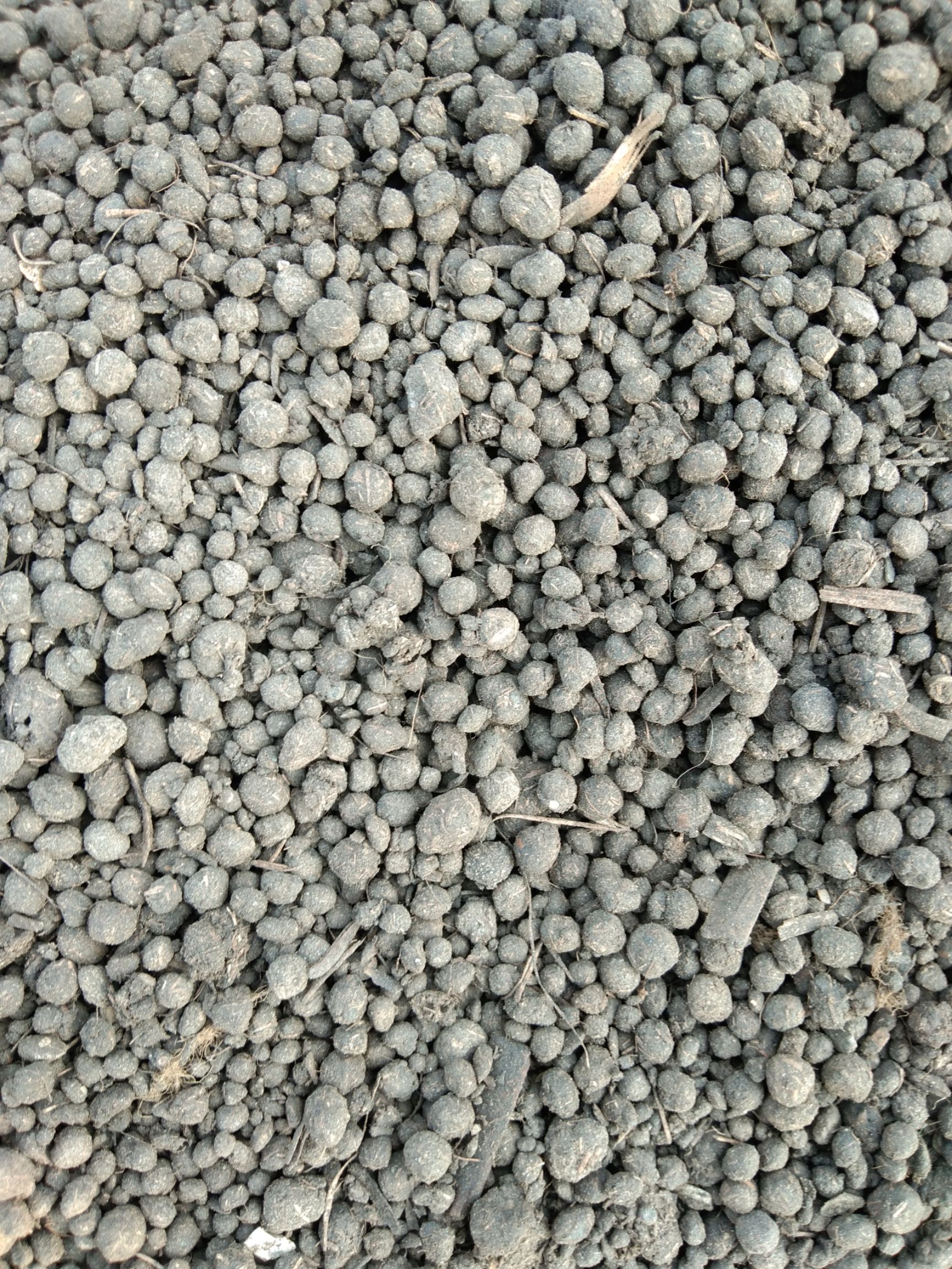 鸡粪，河北沧州发酵烘干晒干鸡粪，羊粪，厂家直销可以来厂参