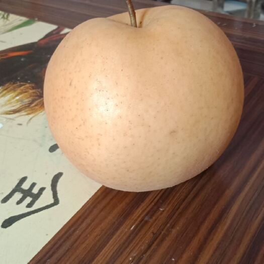 兰考县 百亩晚秋黄梨以开园，