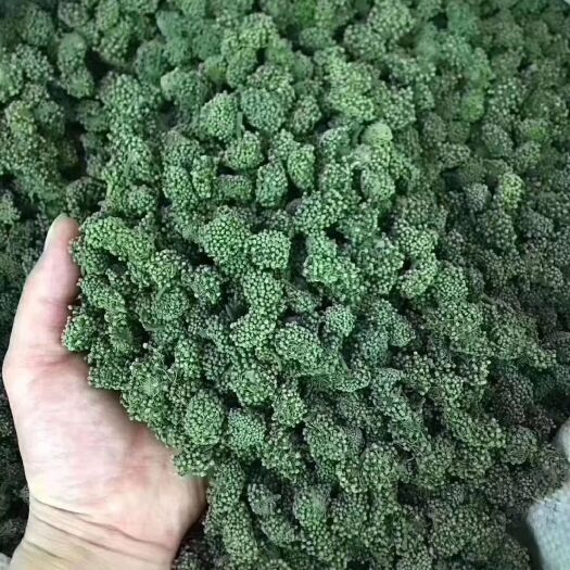 西安 三七花