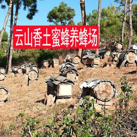 牟定县 云南纯正天然土蜂蜜
冬季蜜农家自产野生百花蜜结晶蜜500克