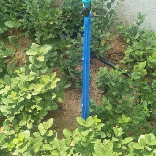 济南地插微喷头 果树微喷苗木喷灌绿化喷灌雾化喷头