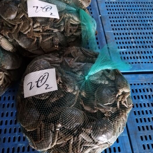 当涂县安徽螃蟹  规格硬，质量有保障