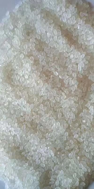 舒兰市东北大米 纯东北小町米价格优惠