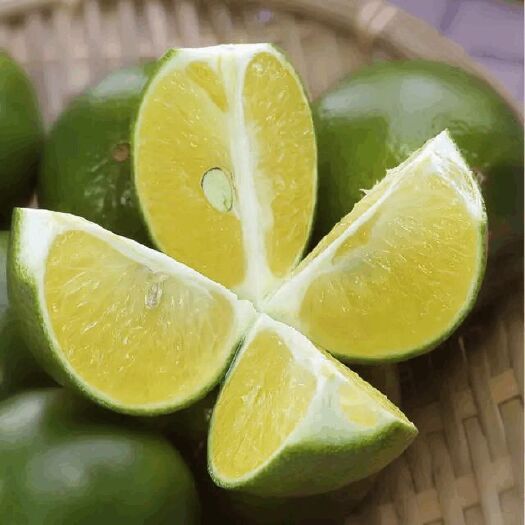 南宁 皇帝柑