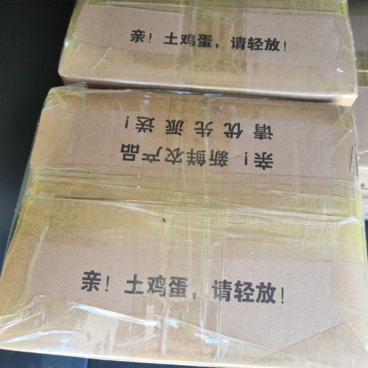 沭阳县山地鸡鸡蛋 食用 散装
