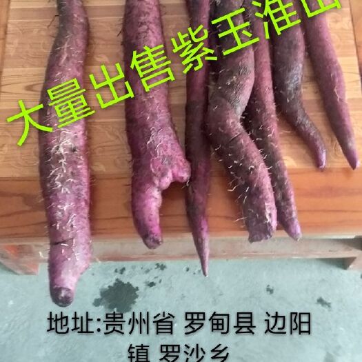罗甸县紫玉淮山山药 紫色淮山玉