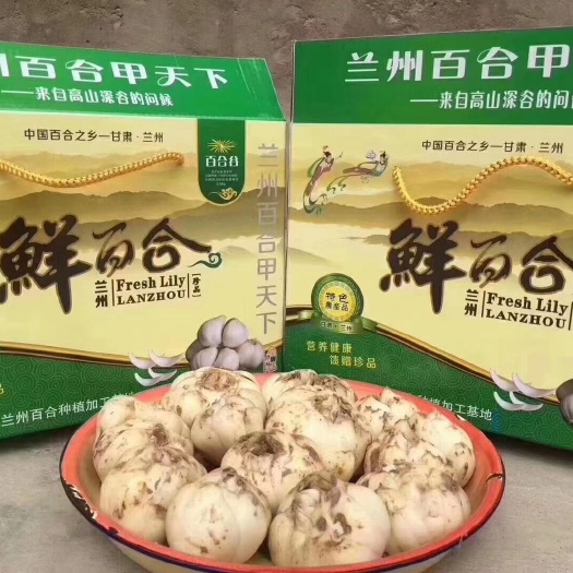 榆中县 鲜百合 自家种植，量大，现货！
