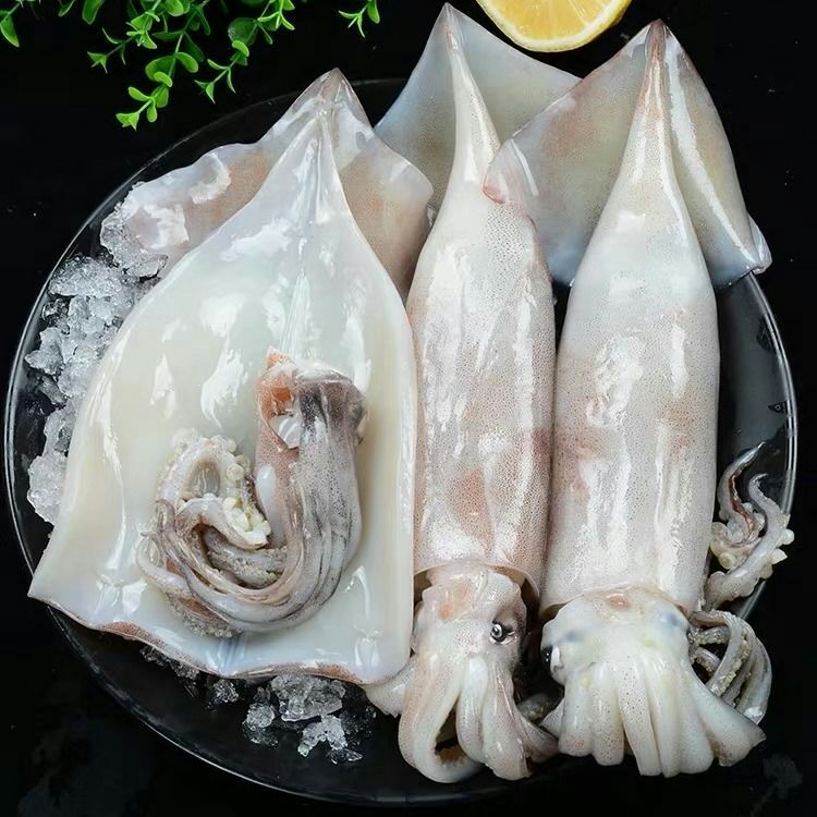  大鱿鱼鲜活整只新鲜冰鲜海鲜水产生鲜鱿鱼冷冻枪乌贼整只烧烤火
