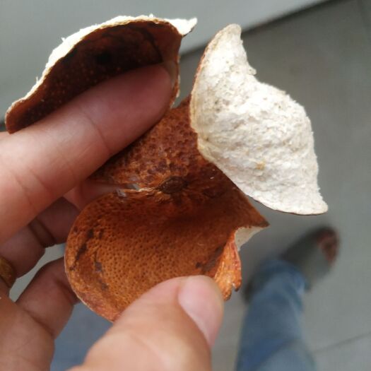 江门茶坑会陈皮