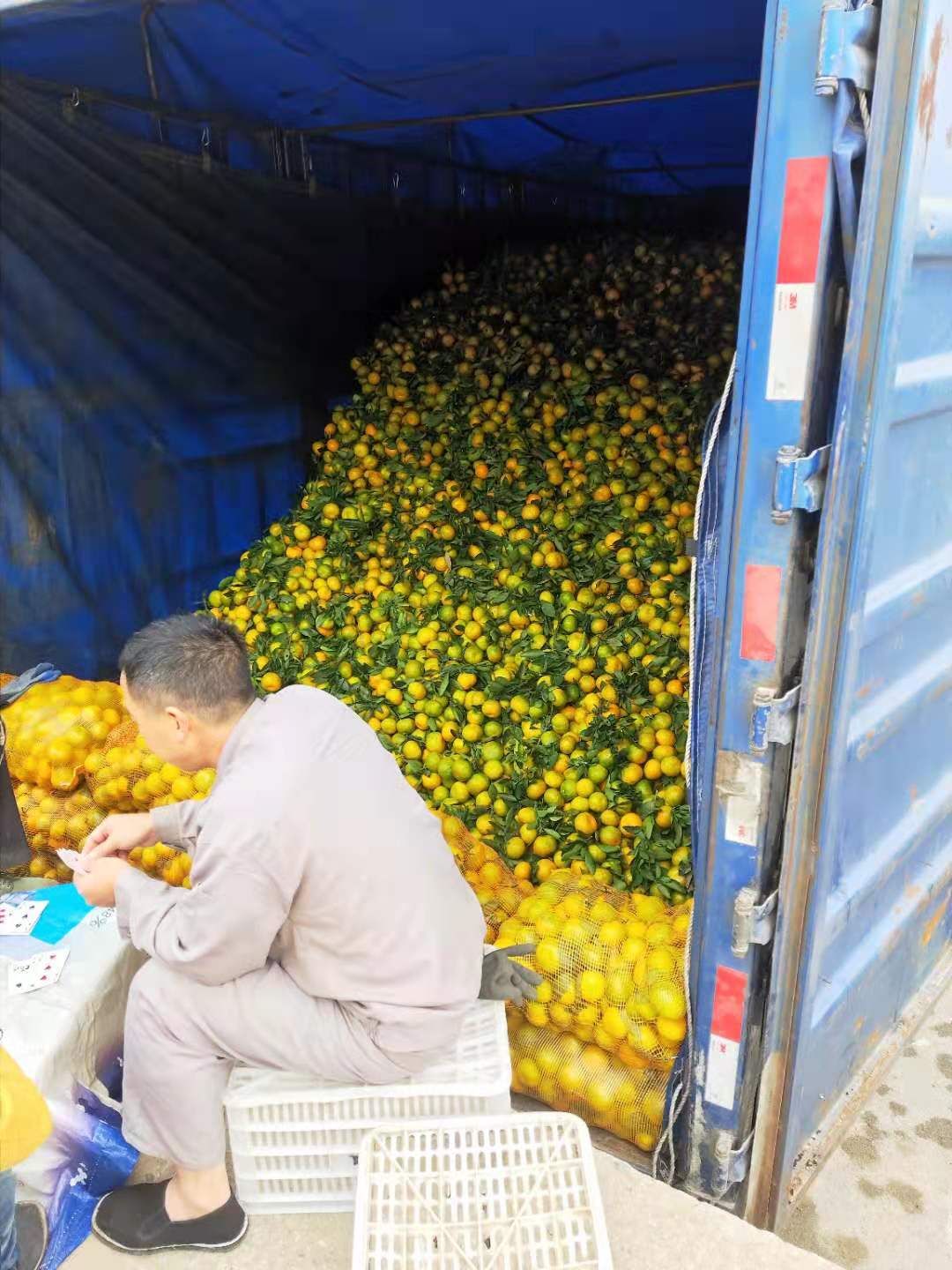 武当蜜橘 好的诚信，好的服务，