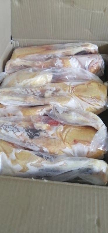 滨州鸡肉类 二级黄金鸡