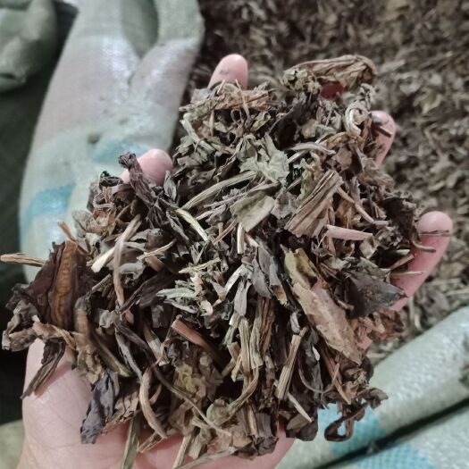  大青叶各种草药
