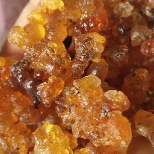 重庆市桃胶，食用桃胶