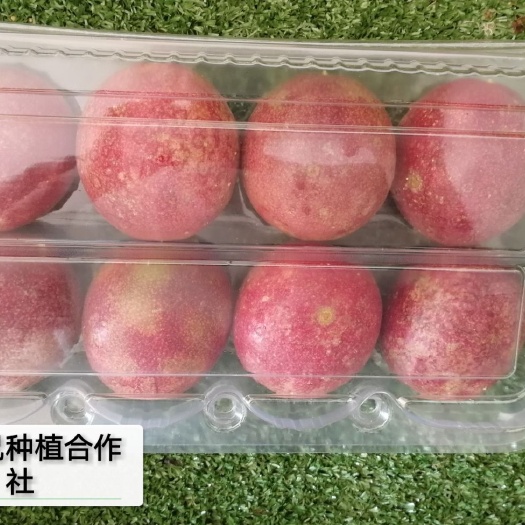 和平县 【百香果 】甜酸开胃， 浓郁果香 农场直接发货