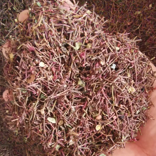 花椒叶   花椒杆子 花椒把 打粉专用 泡脚花椒
