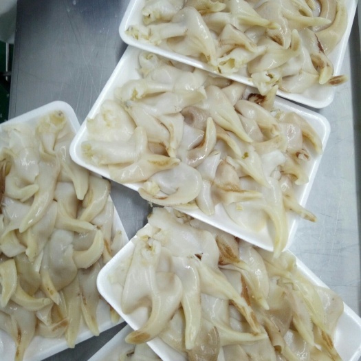 烟台白贝 加拿大白玉鸟贝