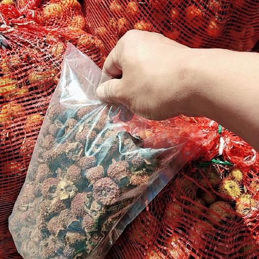 正安县刺梨干果，