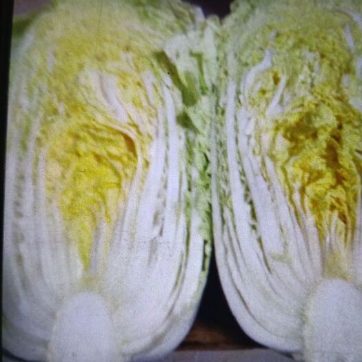 黄心大白菜