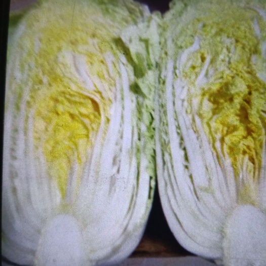 盱眙县黄心大白菜