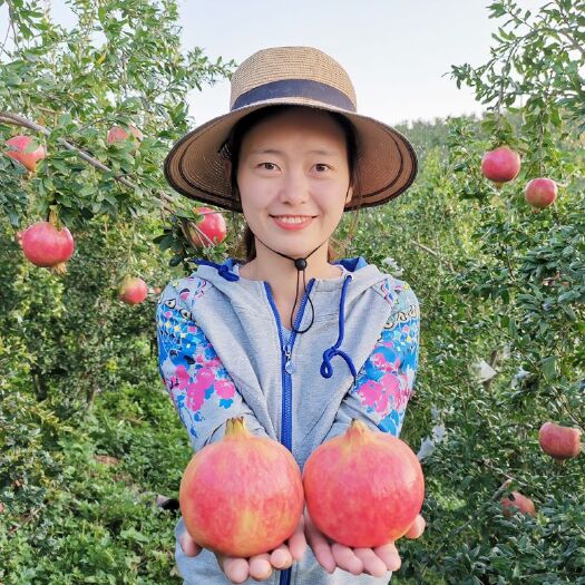 荥阳市 河阴软籽石榴突尼斯软籽石榴原产地直发新鲜水果包邮