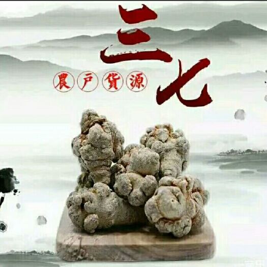 喀喇沁旗 云南文山农户一手货源80头高档滑头三七