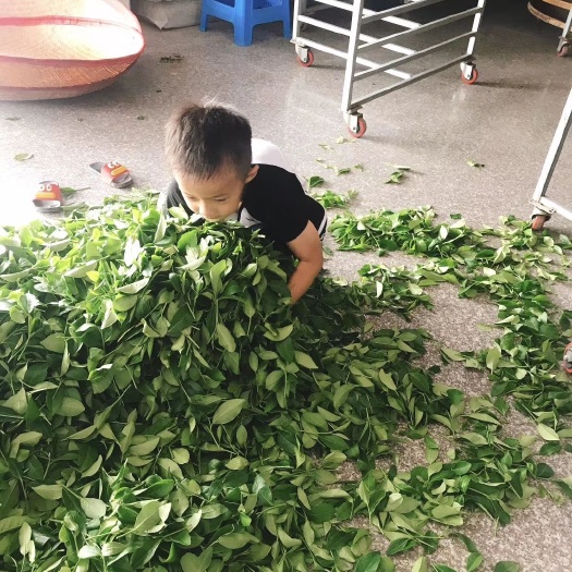 漳平市 漳平水仙茶，从茶山到您手中，只差一个快递的距离