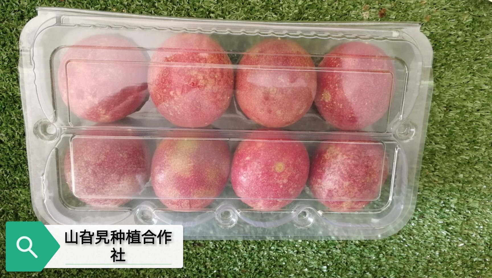  【百香果 】甜酸开胃， 浓郁果香 农场直接发货