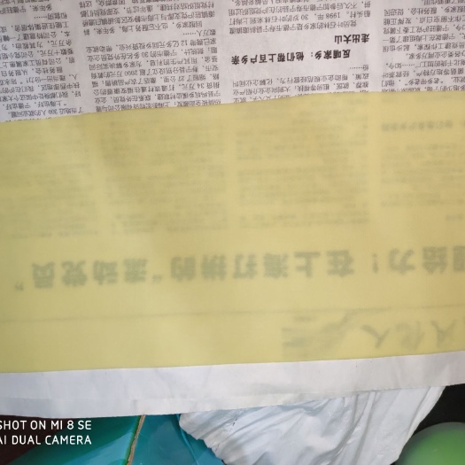 五大连池 五大连池干豆腐