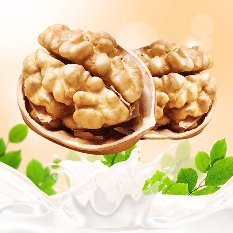  中阳核桃