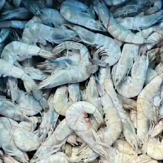 济南青虾